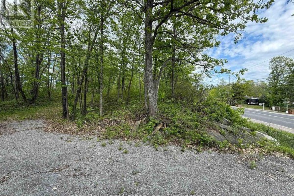 N/a Northey's Bay Road, North Kawartha, ON K0L2H0 Photo 5
