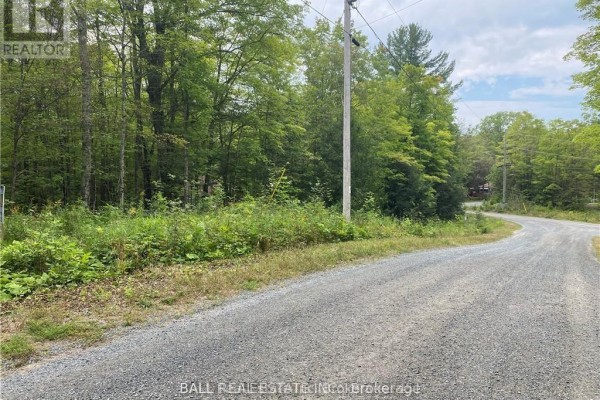 N/a Pcl 45-2 Sec M63 Road, Marmora And Lake, ON K0L1P0 Photo 4