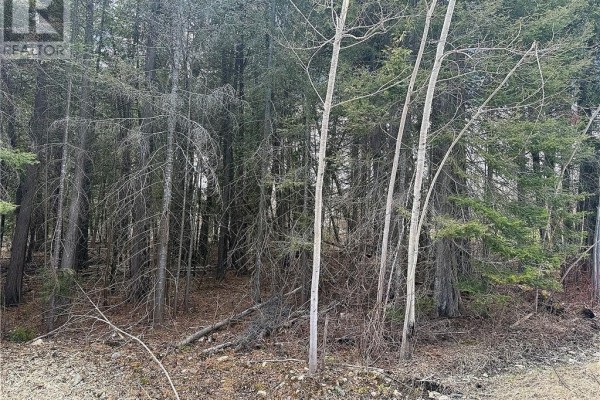 N/a Third Avenue, Manitowaning, ON P0P1N0 Photo 4