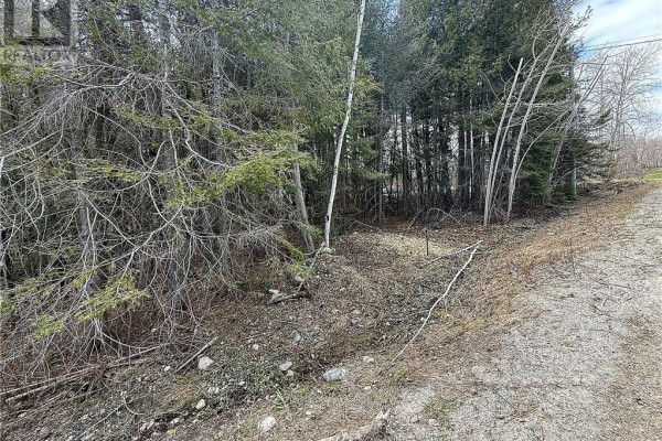 N/a Third Avenue, Manitowaning, ON P0P1N0 Photo 5