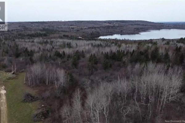 N/a Tobin Road, Elmwood, NB W7N2C6 Photo 2