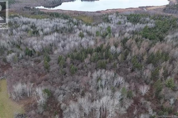 N/a Tobin Road, Elmwood, NB W7N2C6 Photo 3
