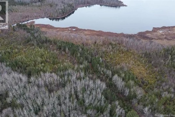 N/a Tobin Road, Elmwood, NB W7N2C6 Photo 5