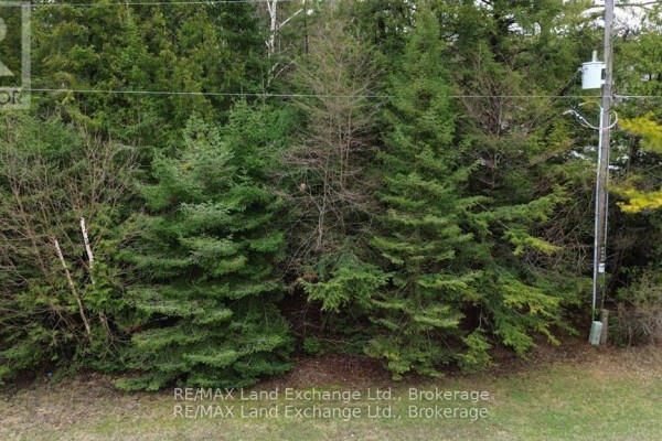 N/a Upper Lorne Beach Road, Kincardine, ON N0G2T0 Photo 4