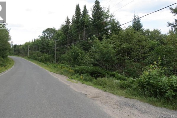 N/a Upper Woodlands, Cardigan, NB E6B1M1 Photo 3