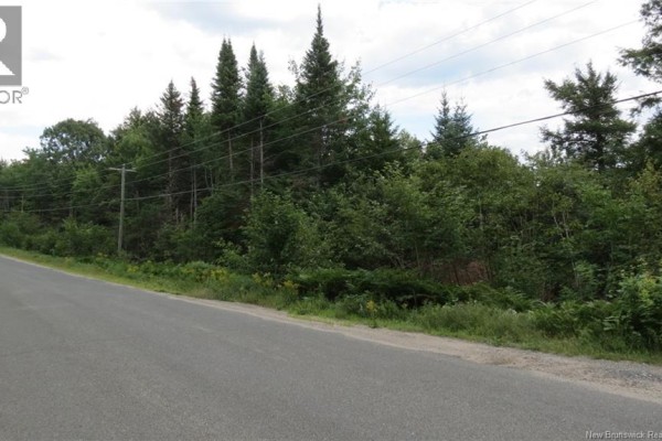 N/a Upper Woodlands, Cardigan, NB E6B1M1 Photo 4