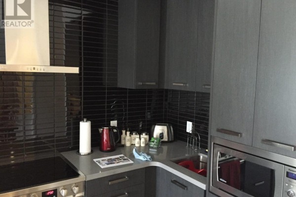 Corner view of a modern kitchen with grey cabinetry, stainless steel appliances, and black tile backsplash. - N222 - 120 Bayview Avenue, Toronto