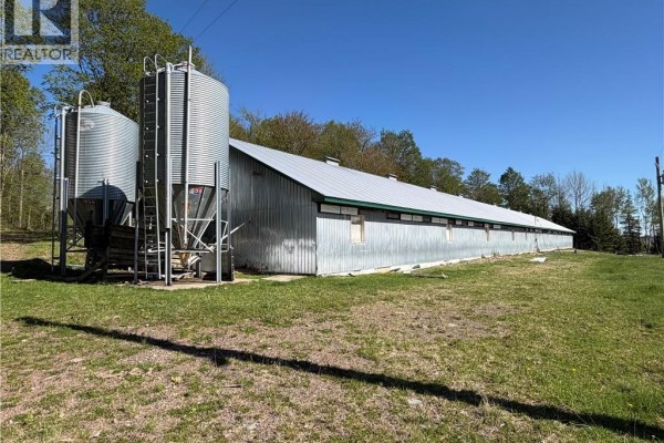 Lot 104 Route, Carlisle, NB E7P1W8 Photo 3