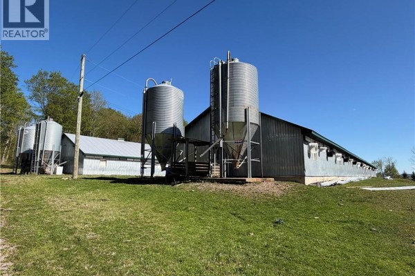 Lot 104 Route, Carlisle, NB E7P1W8 Photo 5