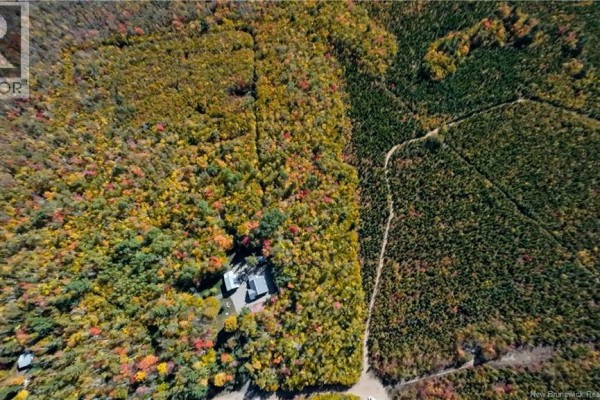Na Green Road, Elgin, NB E4Z1L7 Photo 5