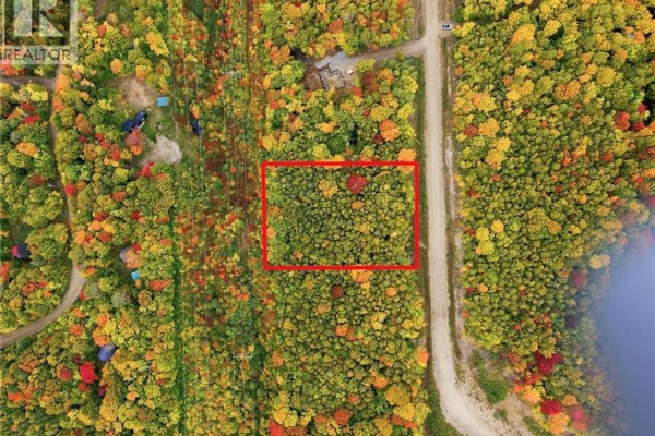 Treed lot outlined in red, adjacent to a dirt road with a body of water visible. - Na Raven Ridge Road, Central Hainesville