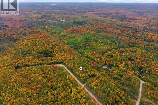 Aerial view of a rural landscape with forested hills showing autumn colors and a dirt road. - Na Raven Ridge Road, Central Hainesville