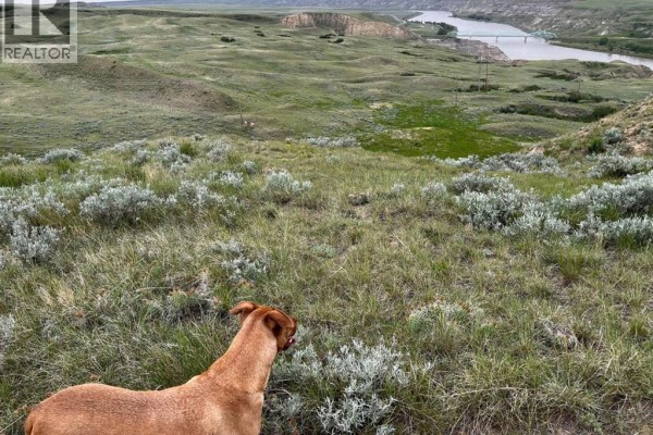 Ne, Nw 27 20 1 W4, All Sec 28 20 1 W4, Se 29&se 34, Rural Cypress County, AB T0J0H0 Photo 5