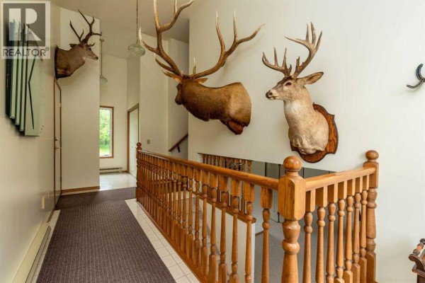 Hallway interior with mounted deer and elk heads, wooden banister, and carpeted runner. - Ne 19-47-23-w3 Rm Eldon, Maidstone