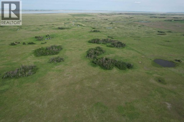 Ne 28 35 15 W4, Rural Stettler No  6, County Of, AB T0J1G0 Photo 3