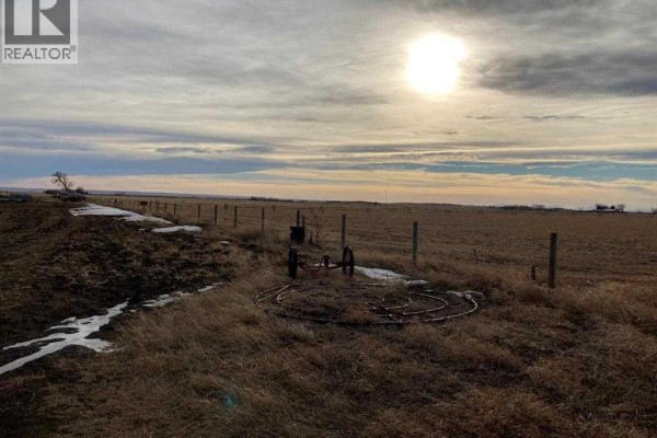 Ne 33 6 20 4 Warner County, Raymond, AB, photo 2