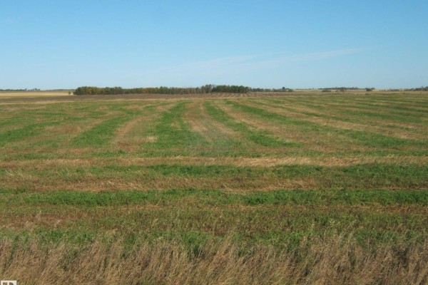 Ne-35-57-16 W-4th, Rural Lamont County, AB T0B0C0 Photo 5
