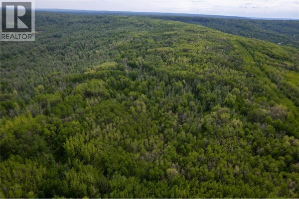 Near 206 Road, Dawson Creek, BC V0C2C0 Photo 2