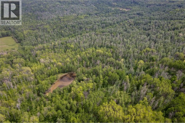Near 206 Road, Dawson Creek, BC V0C2C0 Photo 3