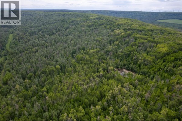 Near 206 Road, Dawson Creek, BC V0C2C0 Photo 5