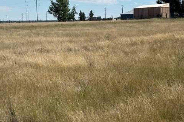 Near Coalhurst Rr223, Coalhurst, AB T0L0V2 Photo 5