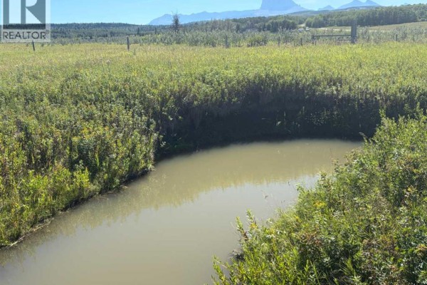Near Sedden Road, Beazer, AB, photo 2