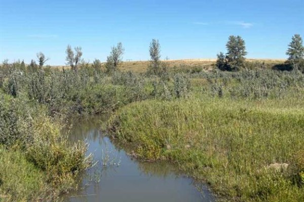 Near Sedden Road, Beazer, AB, photo 3