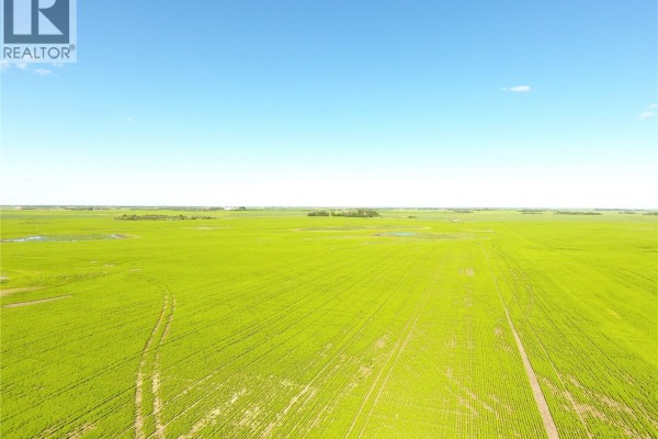 Neels Land, Francis Rm No  127, SK S0G3S0 Photo 5