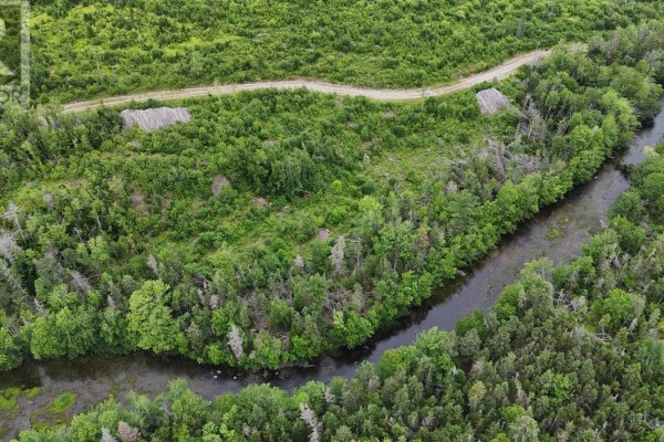 Close-up aerial view of a narrow river flowing through dense green forest with a dirt path alongside. - New Boston Road, Catalone River