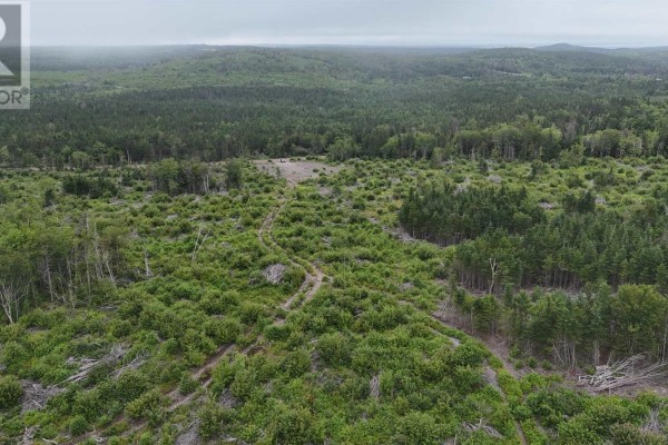 Aerial view of a vast forested area with cleared patches and dirt tracks winding through the trees. - New Boston Road, Catalone River
