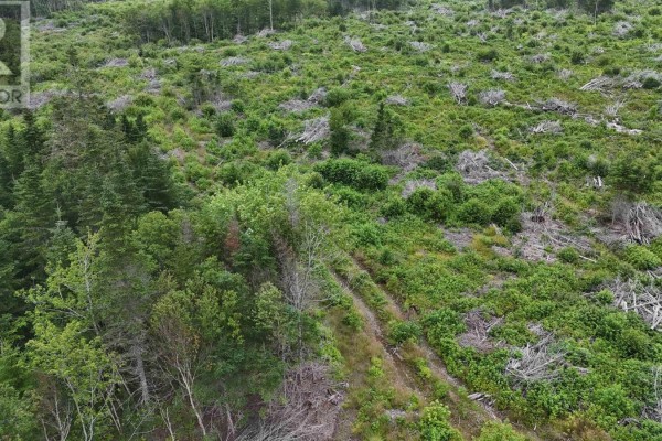 Aerial view of a cleared hillside with scattered trees and brush, showing a dirt track descending. - New Boston Road, Catalone River