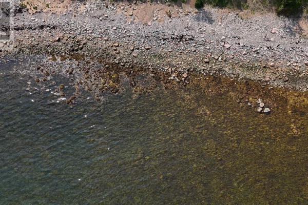 New Campbellton Road, Cape Dauphin, NS B1X1X5 Photo 4