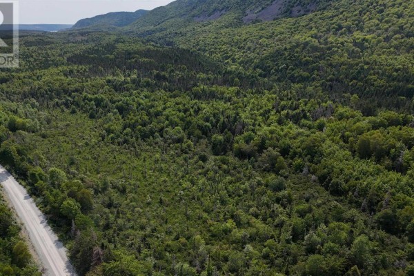 New Campbellton Road, Cape Dauphin, NS B1X1X5 Photo 5