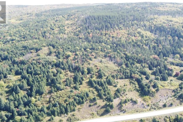 No 19 Highway, Craigmore, NS B0E1P0 Photo 5