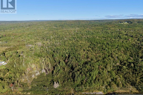 Expansive view of dense green forest stretching towards a distant hazy horizon. - No 19 Highway, Judique North