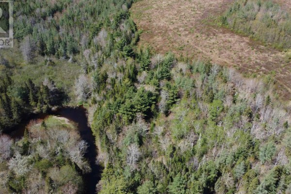 No 316 Highway, Cross Roads Country Harbour, NS B0H1J0 Photo 4