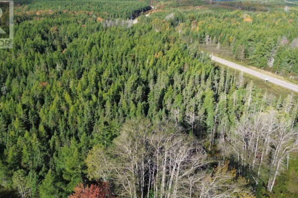 No 4 Highway, Cleveland, NS B0E1J0 Photo 2