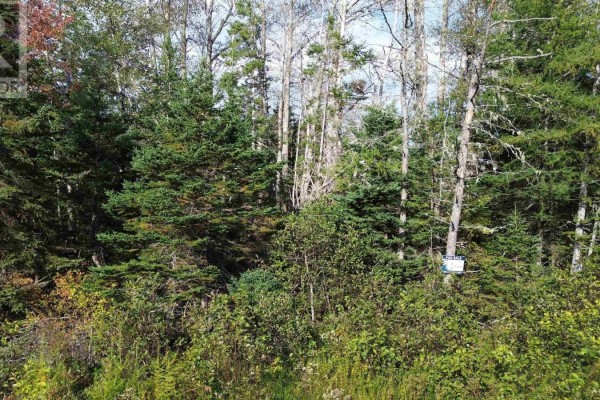No 4 Highway, Cleveland, NS B0E1J0 Photo 3