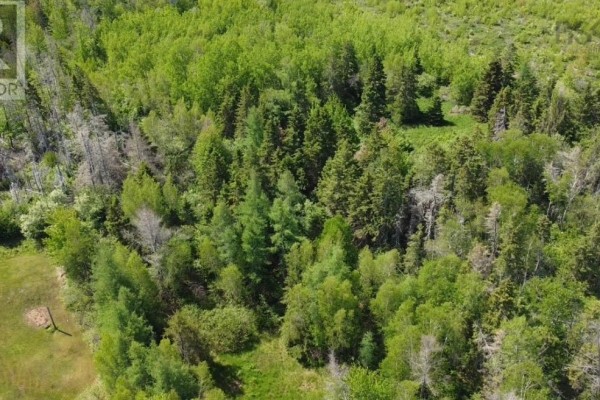 No 6 Trunk Highway, Wallace, NS B0K1Y0 Photo 2
