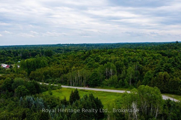 None Hollowview Rd Road N, Centre Hastings, ON K0K3E0 Photo 4