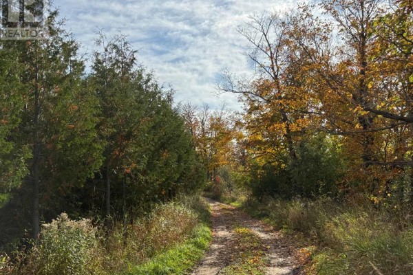 North 1/2 Lot 25 St Vincent Sydenham Townline N, Meaford, ON N4K5W4 Photo 2