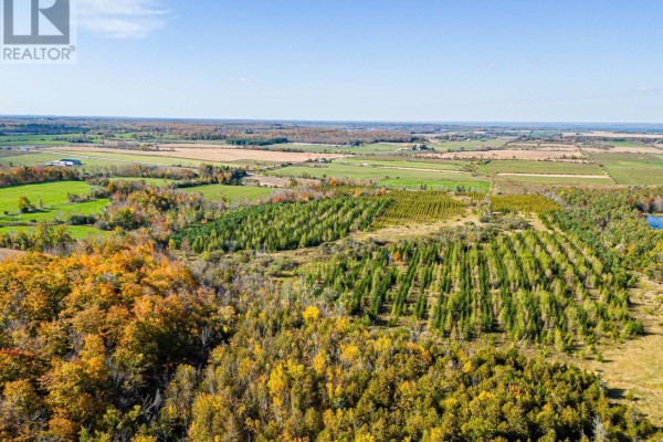 North 1/2 Lot 25 St Vincent Sydenham Townline N, Meaford, ON N4K5W4 Photo 3