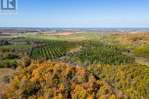 North 1/2 Lot 25 St Vincent Sydenham Townline N, Meaford, ON N4K5W4 Photo 5