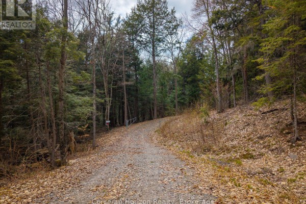 North Lot 18863 Kawagama Lake North Shore Drive, Algonquin Highlands, ON P0A1E0 Photo 5