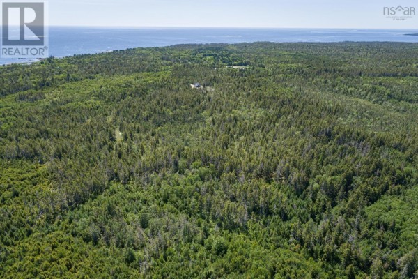 Wide aerial view of dense evergreen forest with a single small house visible. - Northern Hill Road, Bayswater