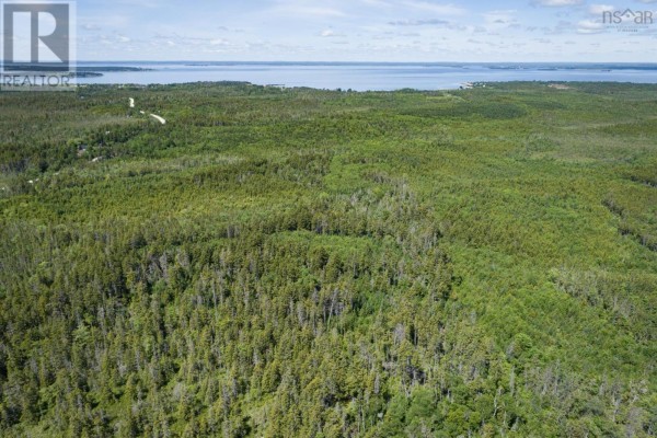 Aerial view of undeveloped woodland stretching towards a calm bay and distant horizon. - Northern Hill Road, Bayswater