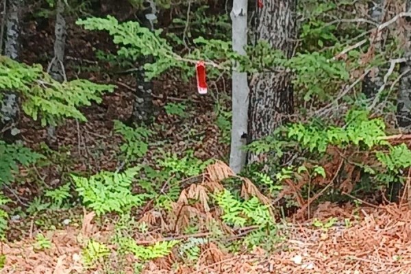 Northfield Road, Upper Northfield, NS B0R1E0 Photo 3