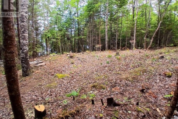 Northfield Road, Upper Northfield, NS B0R1E0 Photo 5