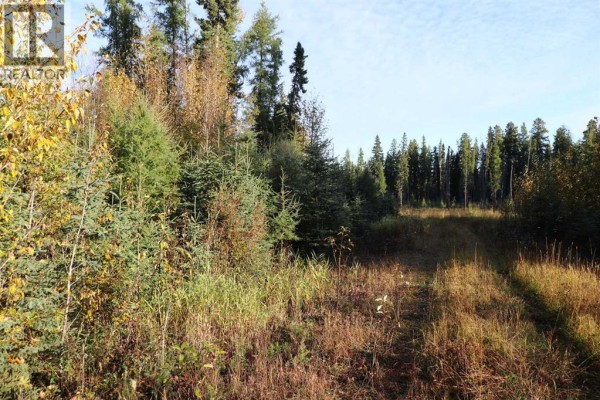 Nw-17-56-14, Rural Yellowhead County, AB T7E3S2 Photo 3
