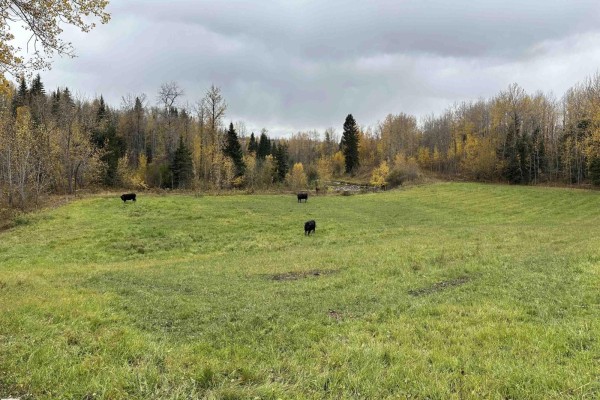 Nw 18-49-5 W5m, Rural Brazeau County, AB, photo 2